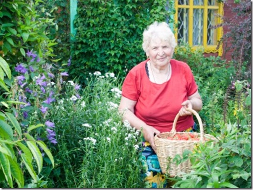Post image for An Old Stereotype, or a Shining Example? My Tribute to Older Gardeners