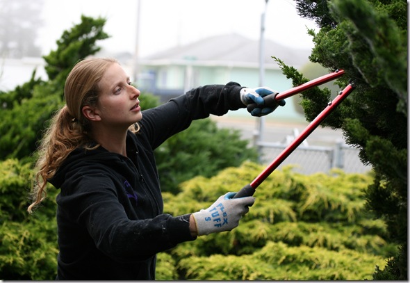 Post image for Your Gardening Body: Using Loppers Safely Without Pain or Strain