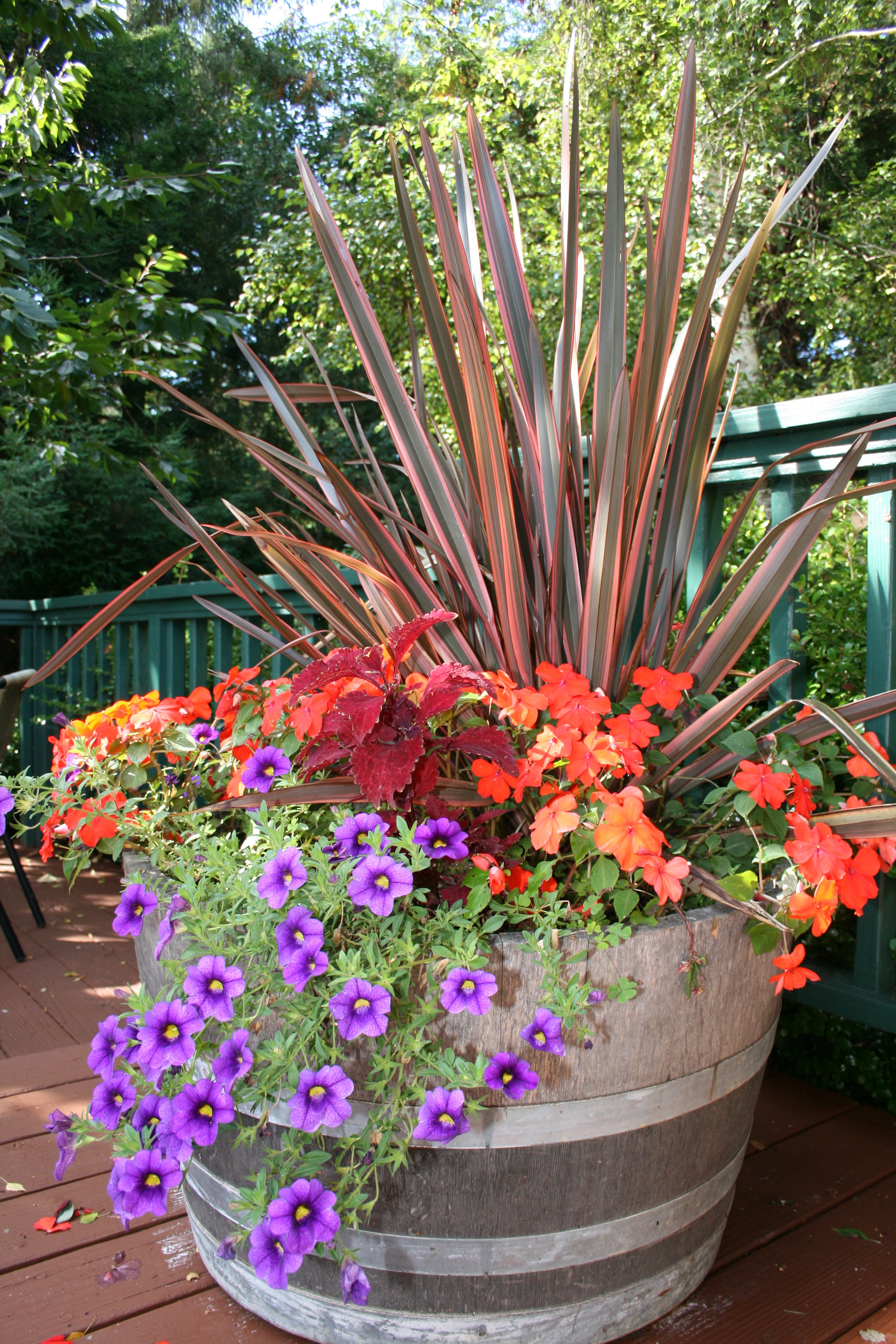 Fall Color Container