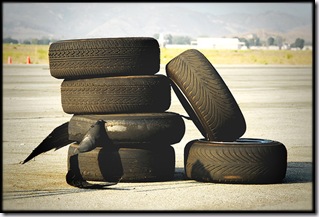 Post image for Rubber Mulch: Where the Rubber Meets the – Soil?