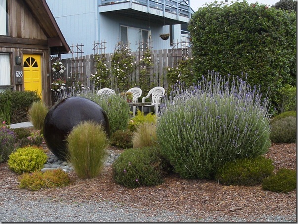 Post image for Coastal Gardening: Screens and Hedges for the Sea Coast Garden
