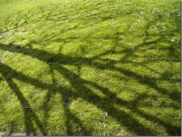 Post image for When Your Garden Isn’t Going Right…