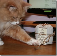 Post image for Haven Brand Manure Tea Bags (With Gratuitous Kitty Photos)