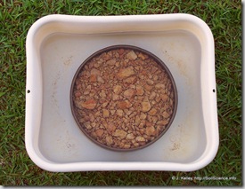 Post image for Cheap Soil Testing: How and Why To Do It