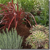 Post image for Edible Landscaping Ideas at the 2011 San Francisco Garden Show