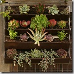 Post image for Greenland Gardener Wall Garden Kit