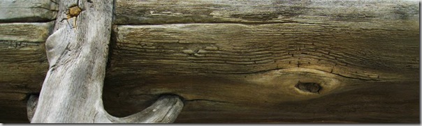 Post image for Faux Bois: False Wood