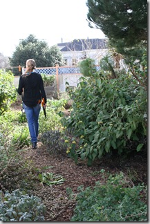 Post image for Fiskars UpRoot Weeder: Armed and Dangerous (to Dandelions)