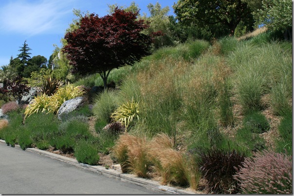 Post image for Wildlife Garden Design Tip: Plant in Masses