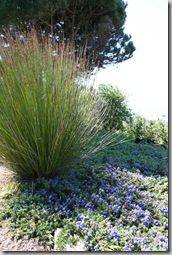 Post image for Wildlife Garden Design Tip: Use Less Lawn!