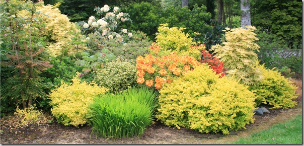 ... for Low-Maintenance Planting Design: More Than Just Plant Selection