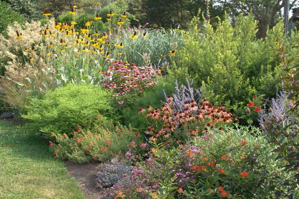 Low-Maintenance Planting Design: More Than Just Plant ...