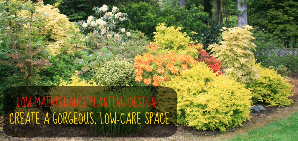 Low Maintenance Planting Design More Than Just Plant Selection