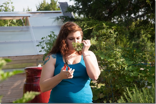 Post image for Review of The 20-30 Something Garden Guide by Dee Nash