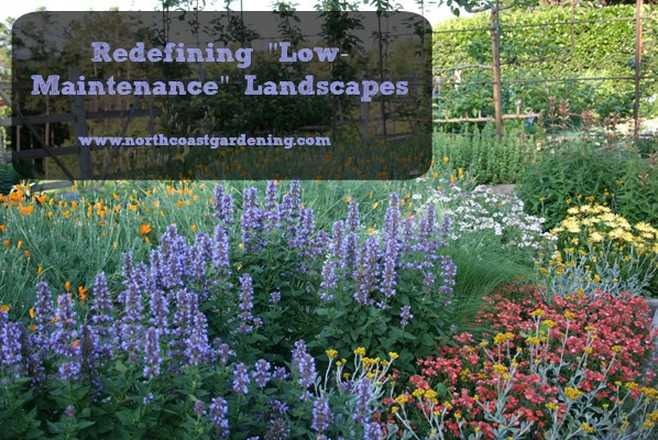 Redefining “Low-Maintenance” Landscapes