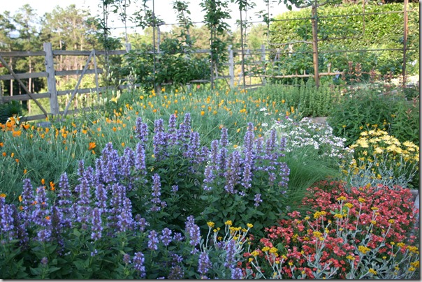 High-maintenance, unless you love butterflies!