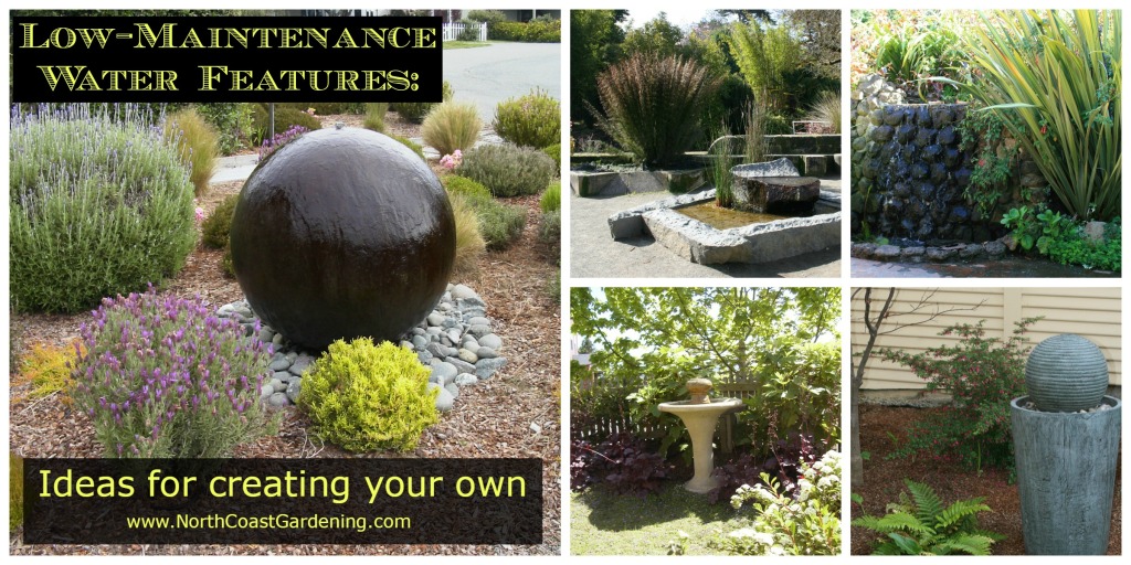 lower-maintenance water features