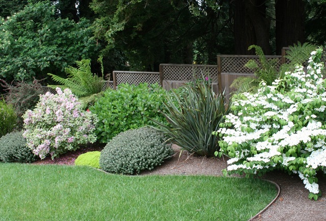 Professional Tips for Using Landscape Fabric Right ⋆ North Coast Gardening