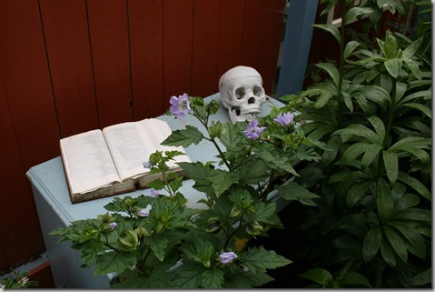 A skull sits atop a dresser, with an old, wicked book