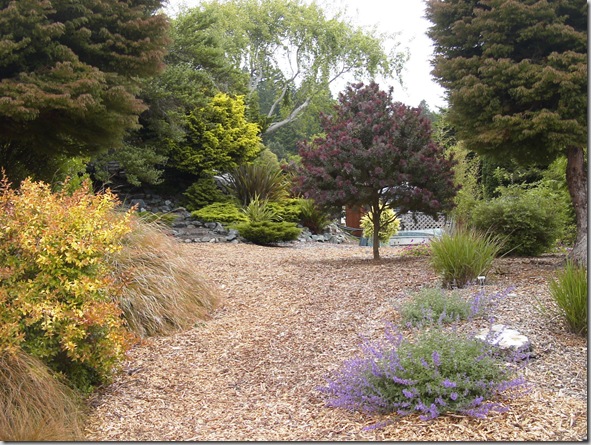Using Landscape Mulch as a Casual Pathway