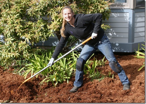 Radius Ground Hog Rake in use