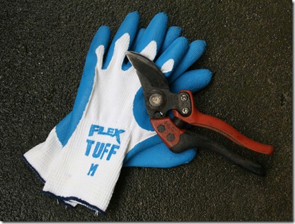 Bahco Pruner and Flex Tuff Gloves