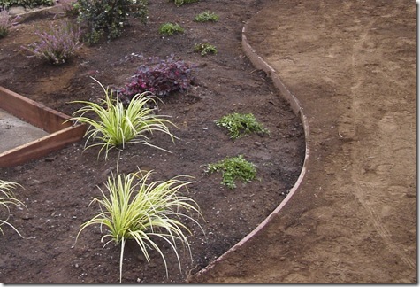 Soil is graded lower at edges to allow room for mulch