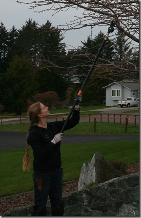 Pole Pruning Safety