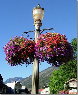 Leavenworth Bavarian Village Hanging Basket photo credit - starmist1