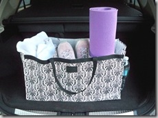 trunksters tote