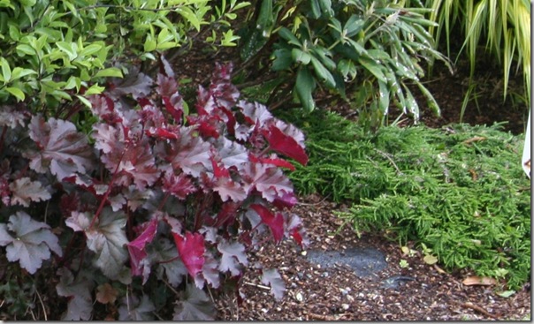 Why I Hate Landscape Fabric: An Unfair and Unbalanced Look at Weed Cloth ⋆  North Coast Gardening