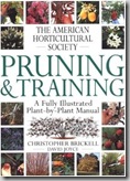 pruning and training
