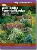 well-tended perennial garden