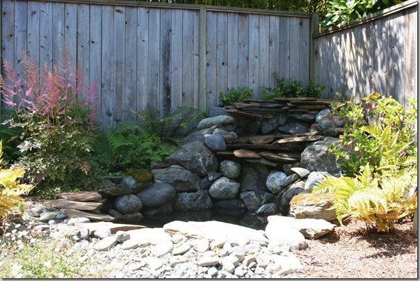 after - the ferns are now able to fill the area and grow larger