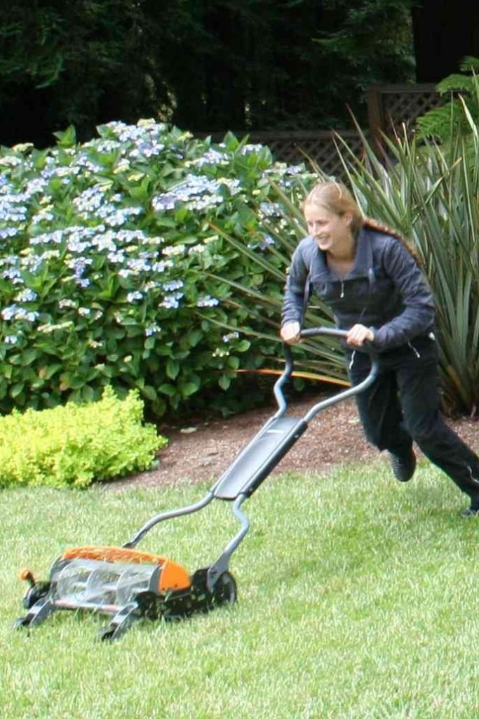 The Fiskars StaySharp Max Reel Mower North Coast Gardening