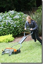 Testing the Fiskars Momentum Mower - Copy