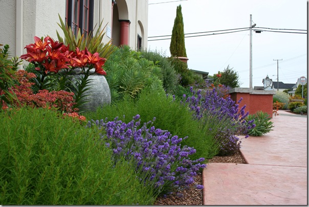 Mediterranean Garden Design - Creating a Tuscan Garden (10)