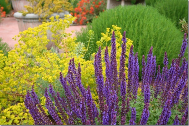 Mediterranean Garden Design - Creating a Tuscan Garden