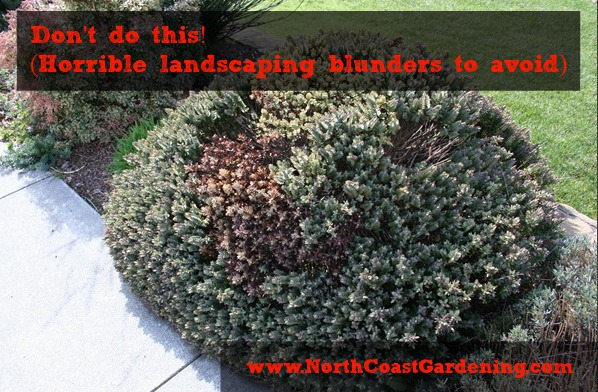 Don't do this! Landscaping blunders to avoid