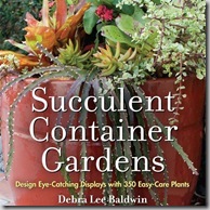 Succulent Container Gardens