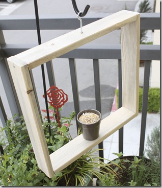 Small Space Container Gardens Review photo by Fern Richardson (3)