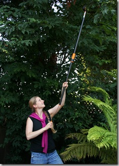 Your Gardening Body: How to Prune Trees Without Strain or Pain