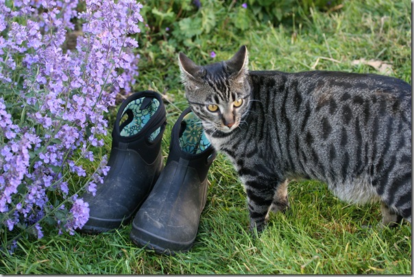 Gardening shoes clearance boots