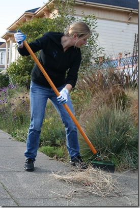 Gen cleaning out a Blue Oat Grass with the rubber rake