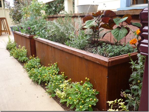 Planter-Boxes.jpg