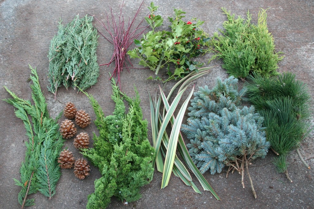 Conifer Christmas Wreath