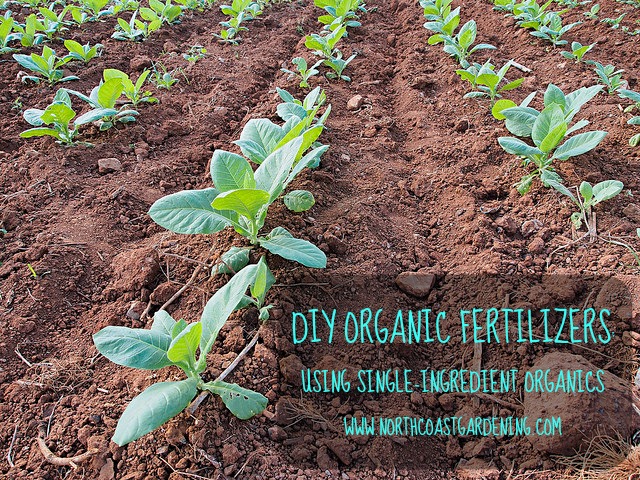 DIY ORGANIC FERTILIZERS