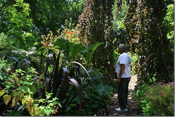 Garden Travel: Choosing the Best Garden Tour