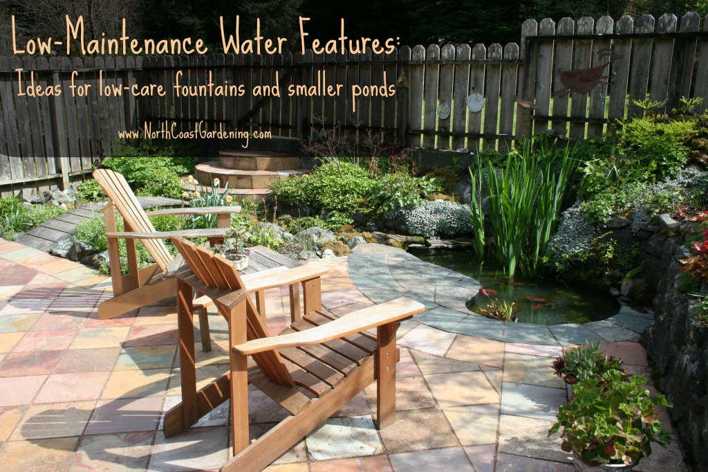 Low-Maintenance Water Features: Ideas for creating your own.