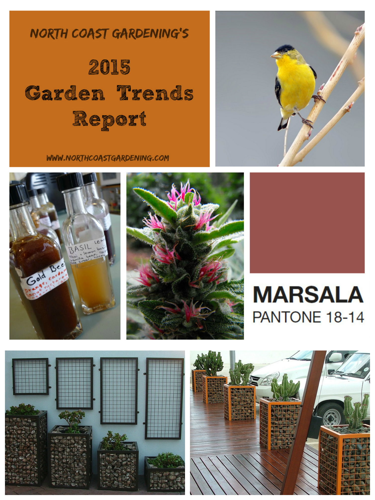 North Coast Gardening's 2015 Annual Garden Trends Report - gabion walls, native plant and other meaningful gardening, nonalcoholic botanical cocktails, ornamental weed, and more! www.northcoastgardening.com